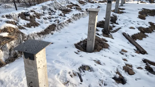 Расчет несущей способности сваи